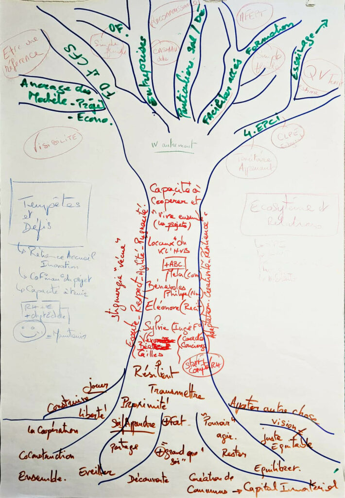 arbre de vie icifornie